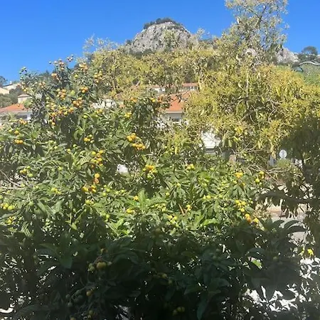Tres Bel A * Hyères