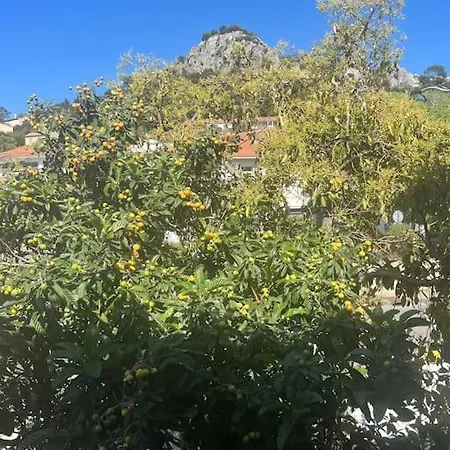 Tres Bel A * Hyères